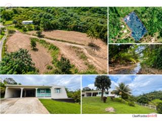 Las Piedras PR, Casa en Finca de '3 Cuerdas'