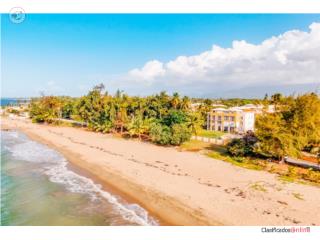 Cond Malibu Beach Airbnb Allowed