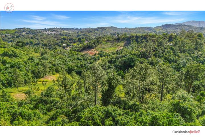 Bo. Beatriz, sector Monticello Cidra PR 00739