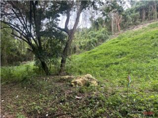 Venta de finca con vista panorámica
