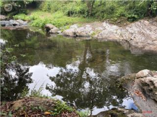 Peñuelas Finca 98.8 Cuerdas con Rio