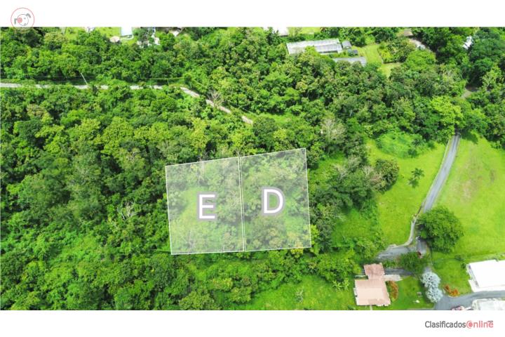 VENTA!! Solares Bo. Mata de Plátano- Luquillo