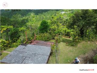 TERRENO EN CAYEY
