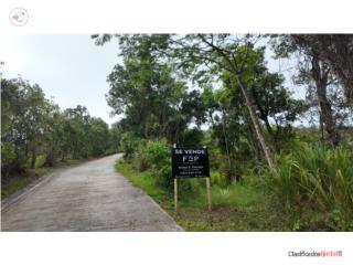 FINCA DE 6 CUERDAS