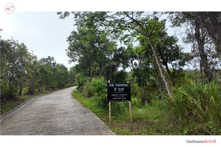 FINCA DE 6 CUERDAS