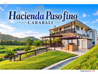 Hermosa y exclusiva: Hacienda Carabal...