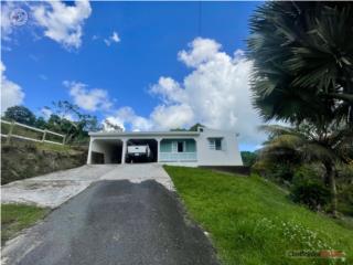 Las Piedras PR, Casa en 3 Cuerdas de ...