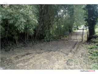 Estancias Collores, Old Coffee Farm, ...