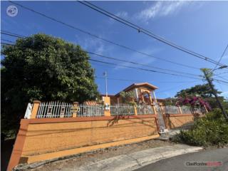 Almacigo Bajo Sec. Los Quiñones Yauco
