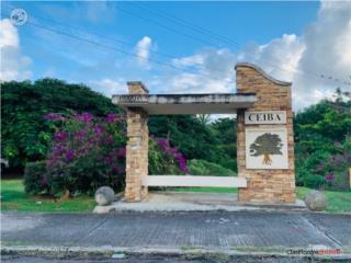 •Portal de Ceiba Townhouse•