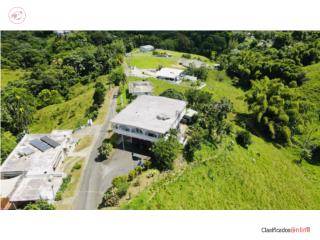 Bo. Tejas El Centro. Yabucoa, Carr 905