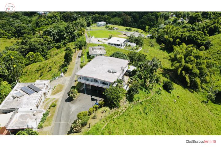 Bo. Tejas El Centro. Yabucoa, Carr 905
