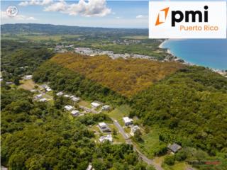 FINCA DE 97 CUERDAS EN VENTA – AGUADI...