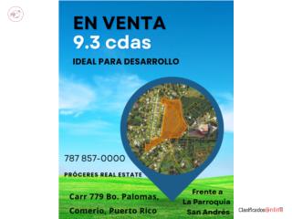 Finca de 9.3 cdas