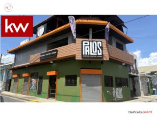 CALLE ACOSTA, COMERCIAL EN CAGUAS