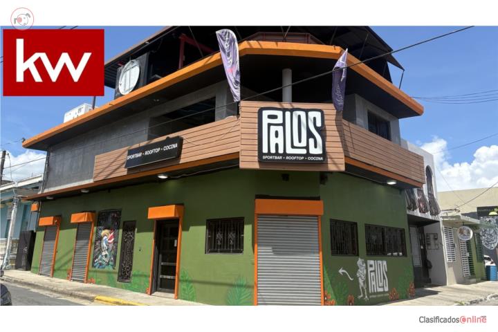 CALLE ACOSTA, COMERCIAL EN CAGUAS
