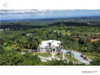 Bo. Cuchillas Morovis