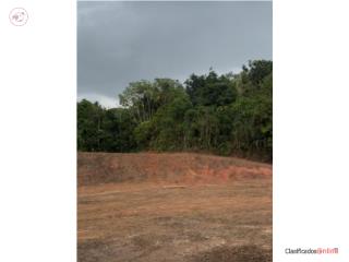 !Terreno For Sale, Guaynabo!