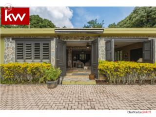 BO. JAGUEYES ABAJO, FINCA EN AGUAS