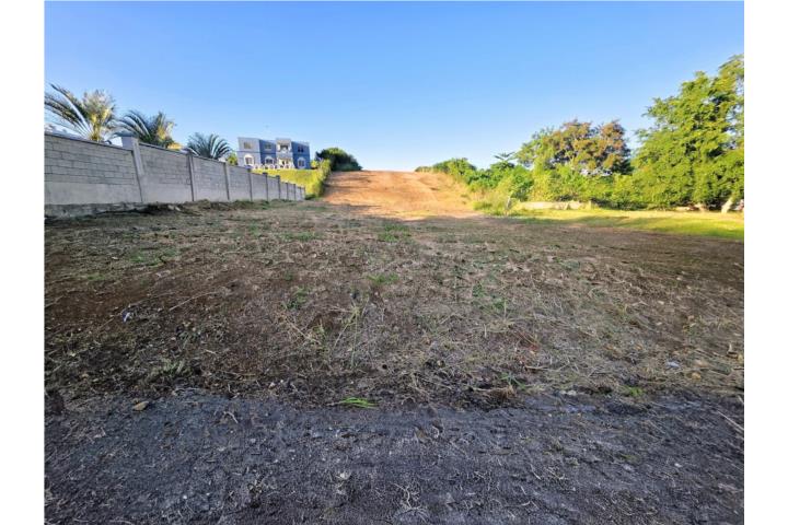 Urb Jardines de Betania, Carr 682 Int Calle Ceiba Km 62.