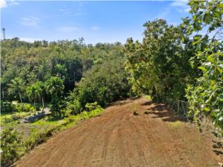  Land for Sale � Aguada, Guayabo Ward