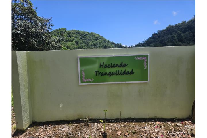 12 Fotos