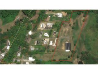 FINCA SECTOR PUGNADO, MOROVIS