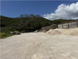 Canas Puerto Rico
