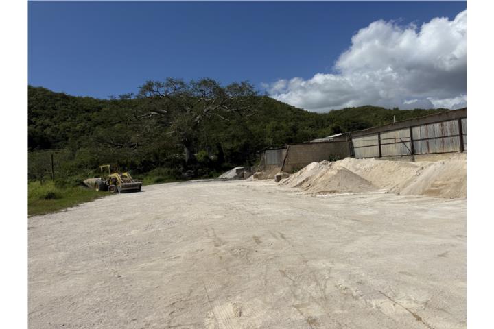 Se Venden Cuatro Lotes en Conjunto con una Edificación, Un comercio fijo establecido por varias decadas.