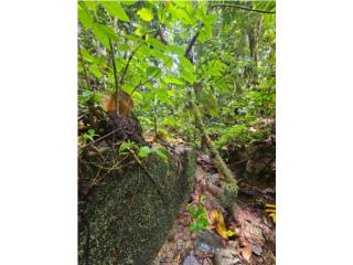 Finca 14.4 Cuerdas en Maizales | Cerca El Yun
