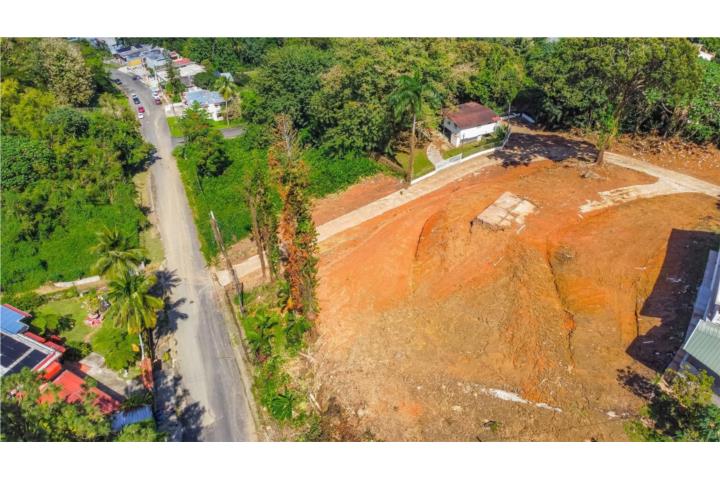 Solar en venta en Colinas del Yunque.