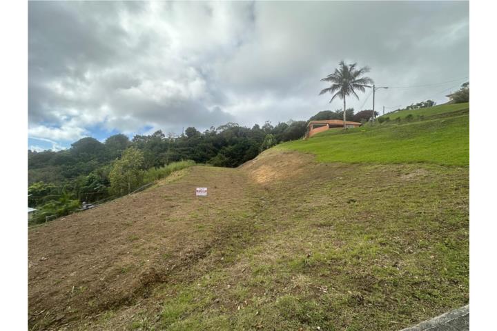 Solar ubicado en Bo.