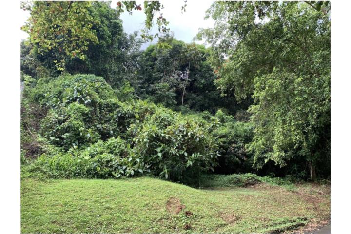 Solar en Río Grande Excelente Inversión Camino Los López, Bo.