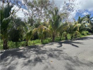 Oportunidad para desarrollo residencial