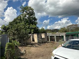 URB LOS TAMANRINDOS / NUEVA AL MERCADO