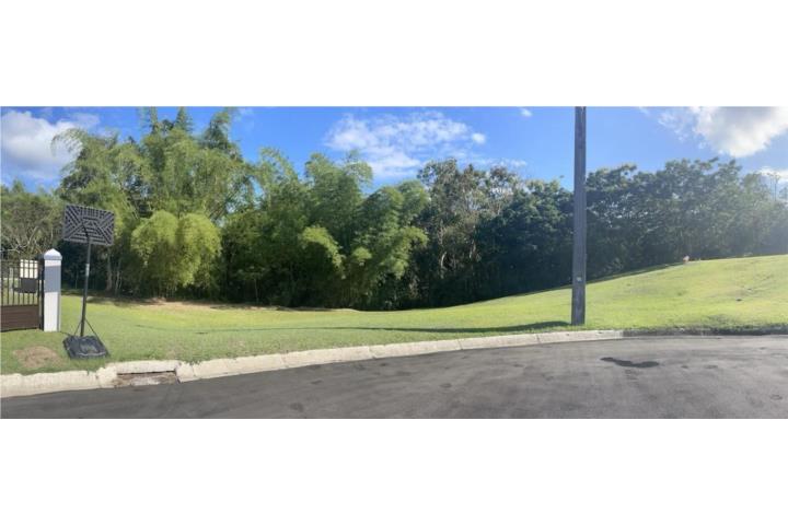 PRECIO REDUCIDO!!! Terreno en San Lorenzo, ubicado en la Carr # 9929, Int 980, Sec.