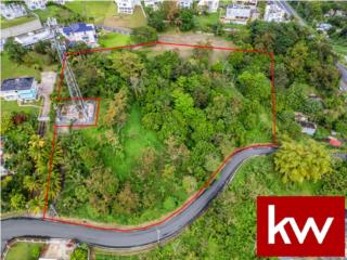 URB. CARMEN HILLS, TERRENO EN GUAYNABO