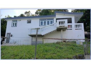 *Venta* Aguas Buenas, Bo. Sumidero 