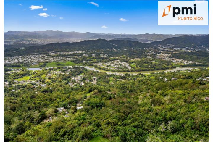 Terreno en Gurabo de 2.7684 Cuerdas, 195k