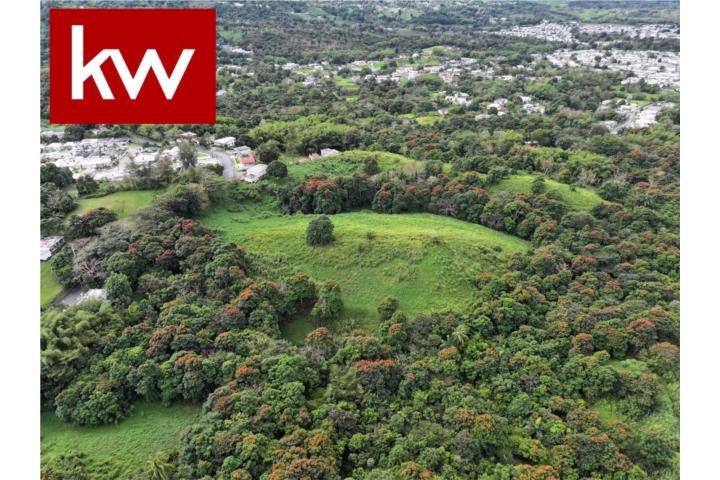 BO. FLORIDA, FINCA EN SAN LORENZO