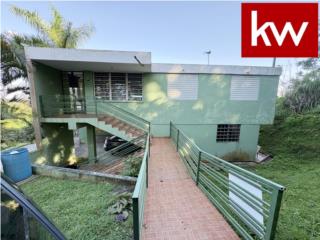 BO. MONTELLANOS, CASA EN CIDRA