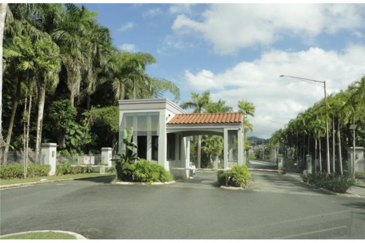 TERRERA, CAMPO EN LA CIUDAD, MUCHOS EXTRAS