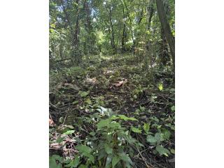 BO:LA GLORIA,SOLAR LLANO,2,233.61 M\C $45k