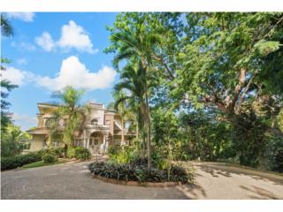 Majestuosa Residencia en Tintillo