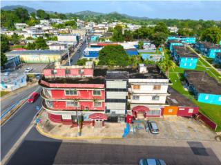 Inversi�n Comercial con Ingreso Inmediato 