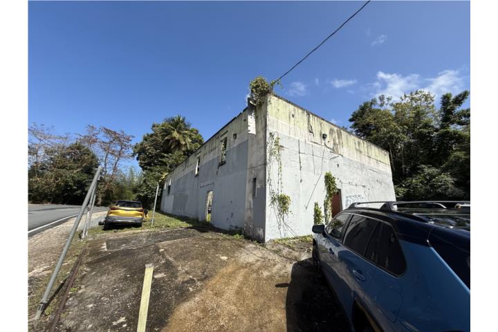 Bo. Rio Guaynabo Comercial 250K