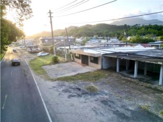 MIXED-USE PROPERTY (RESIDENTIAL / COMMERCIAL)