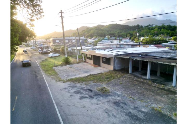 Mixed-use property in the Villa del Rosario community of Naguabo.