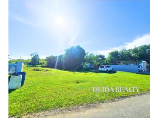 SE VENDE SOLAR EN BO. MEMBRILLO EN CAMUY,PR 