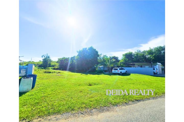 SE VENDE SOLAR EN BO. MEMBRILLO EN CAMUY,PR